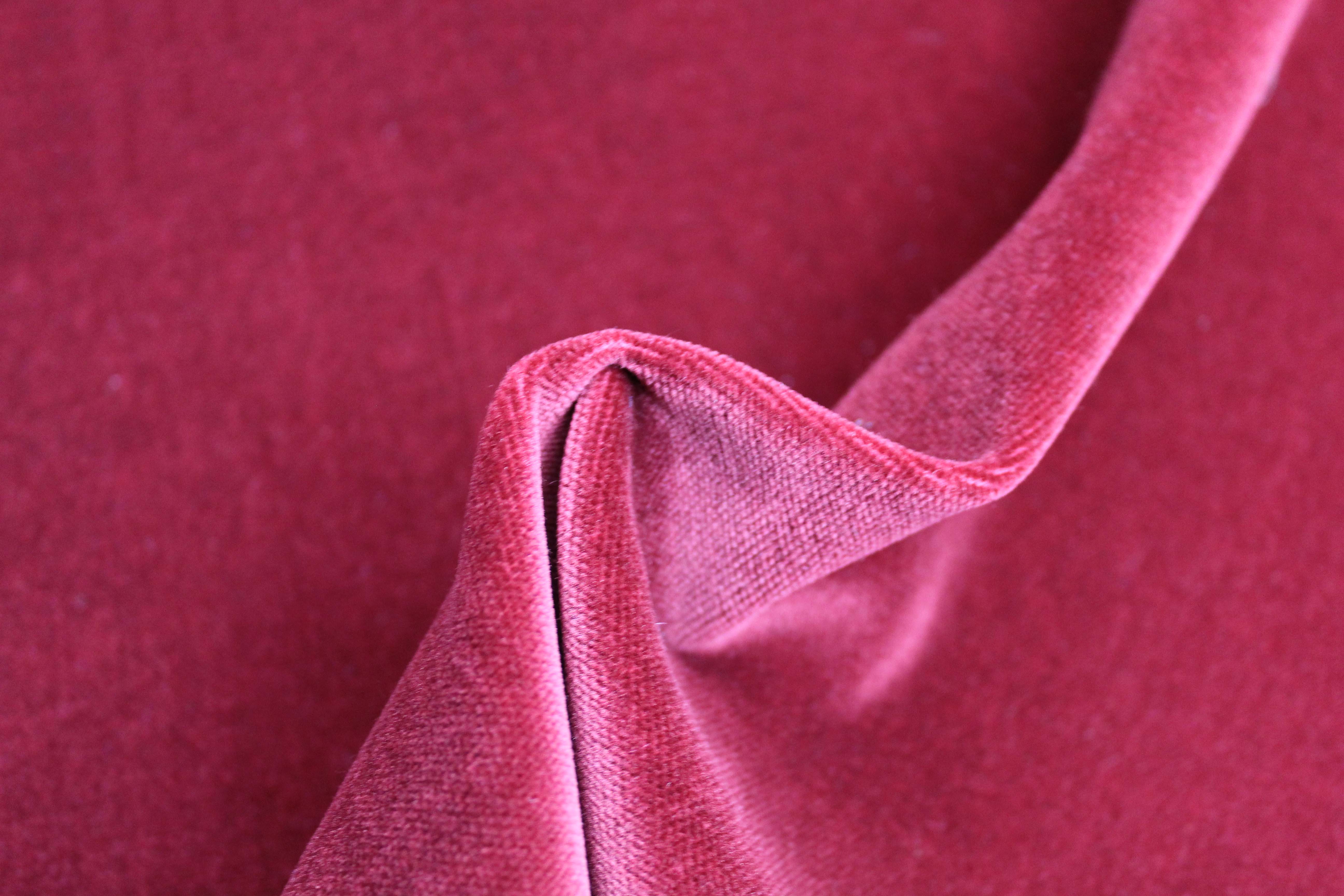 COTTON MODAL VELVET - WINE